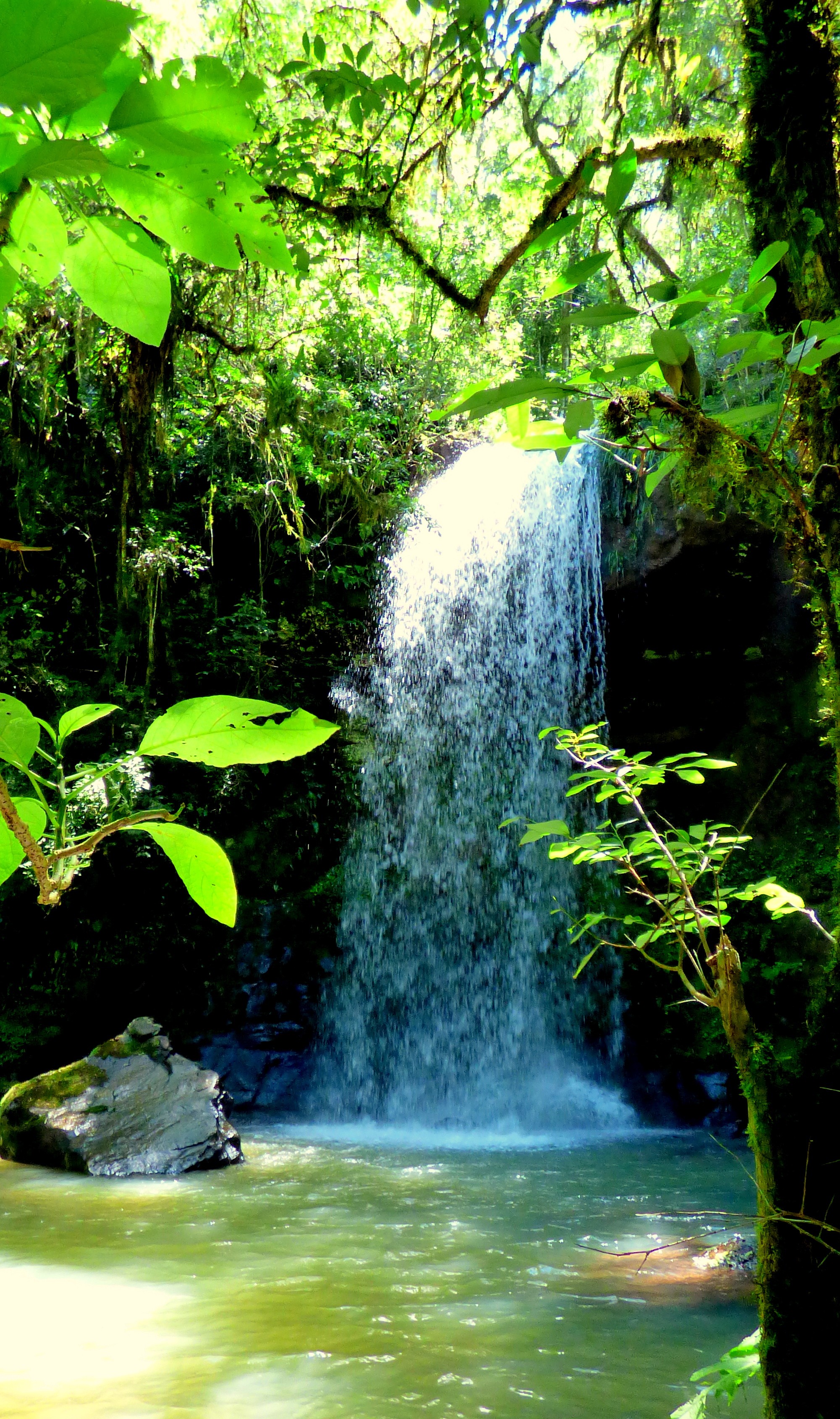 Cascada Akaguapy Mobile