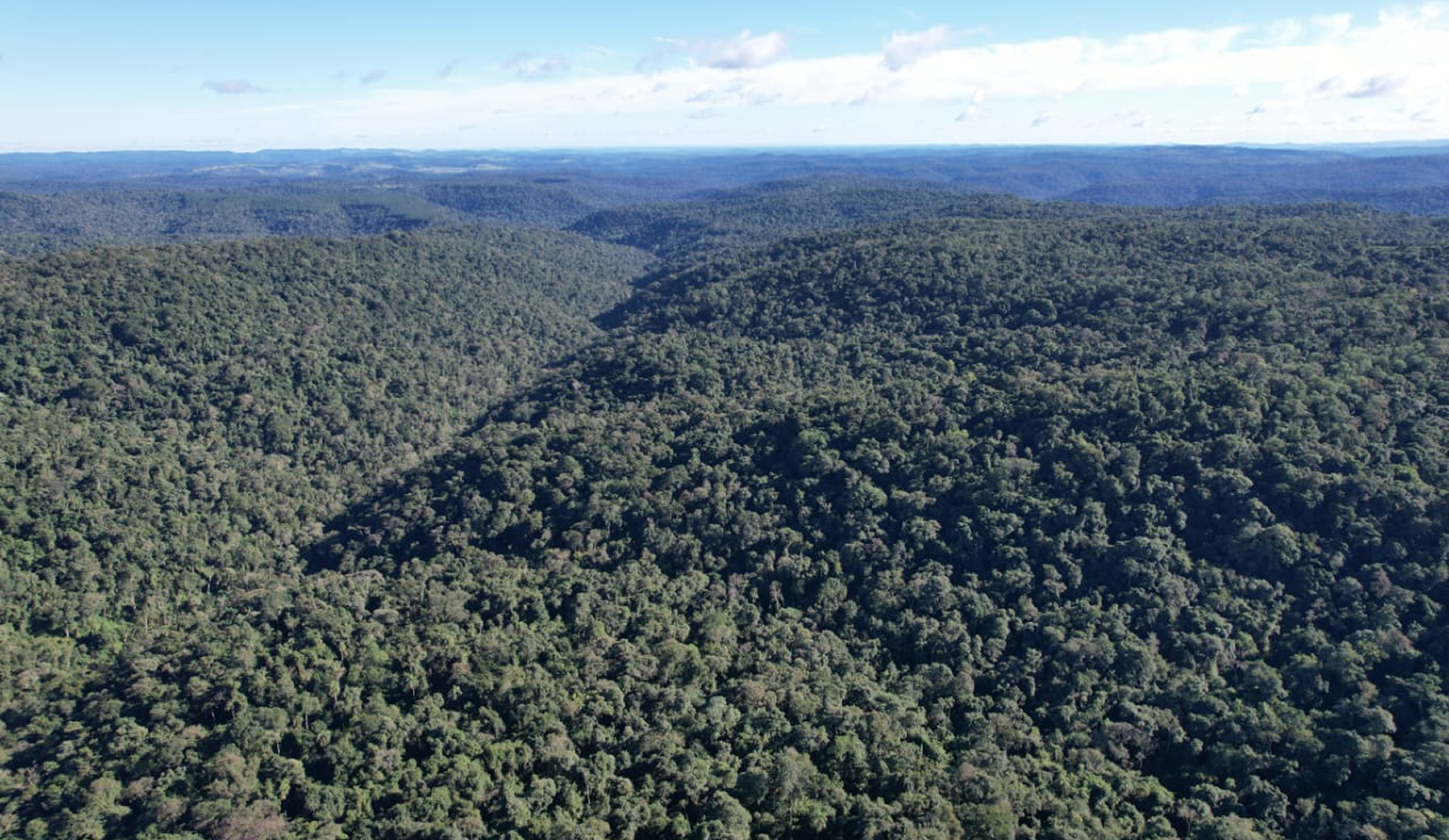 Nuestro pedacito de selva misionera