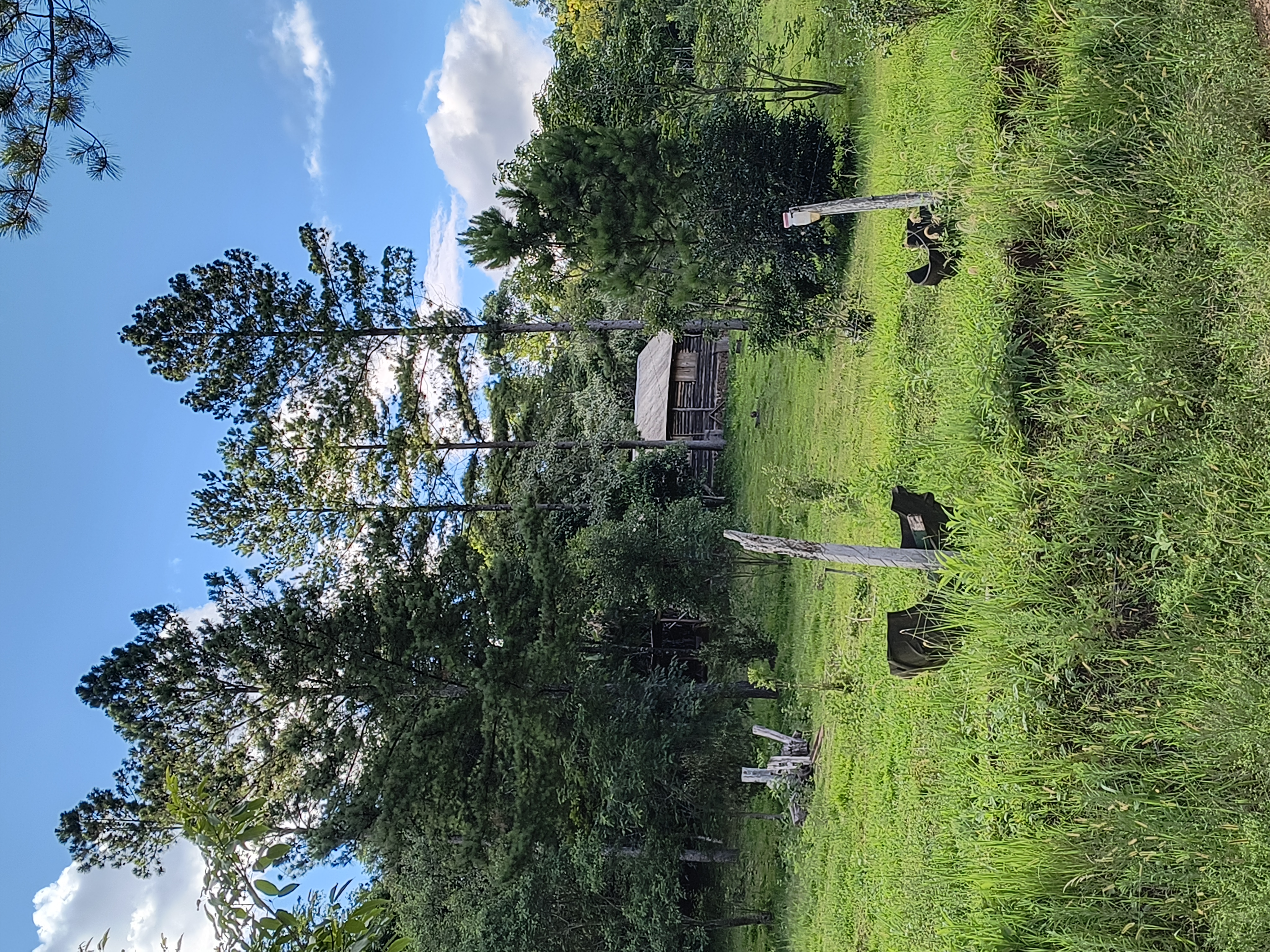 Es un refugio para la vida silvestre