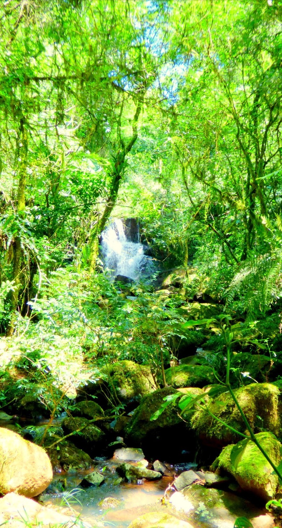 Cascada Akaguapy Mobile