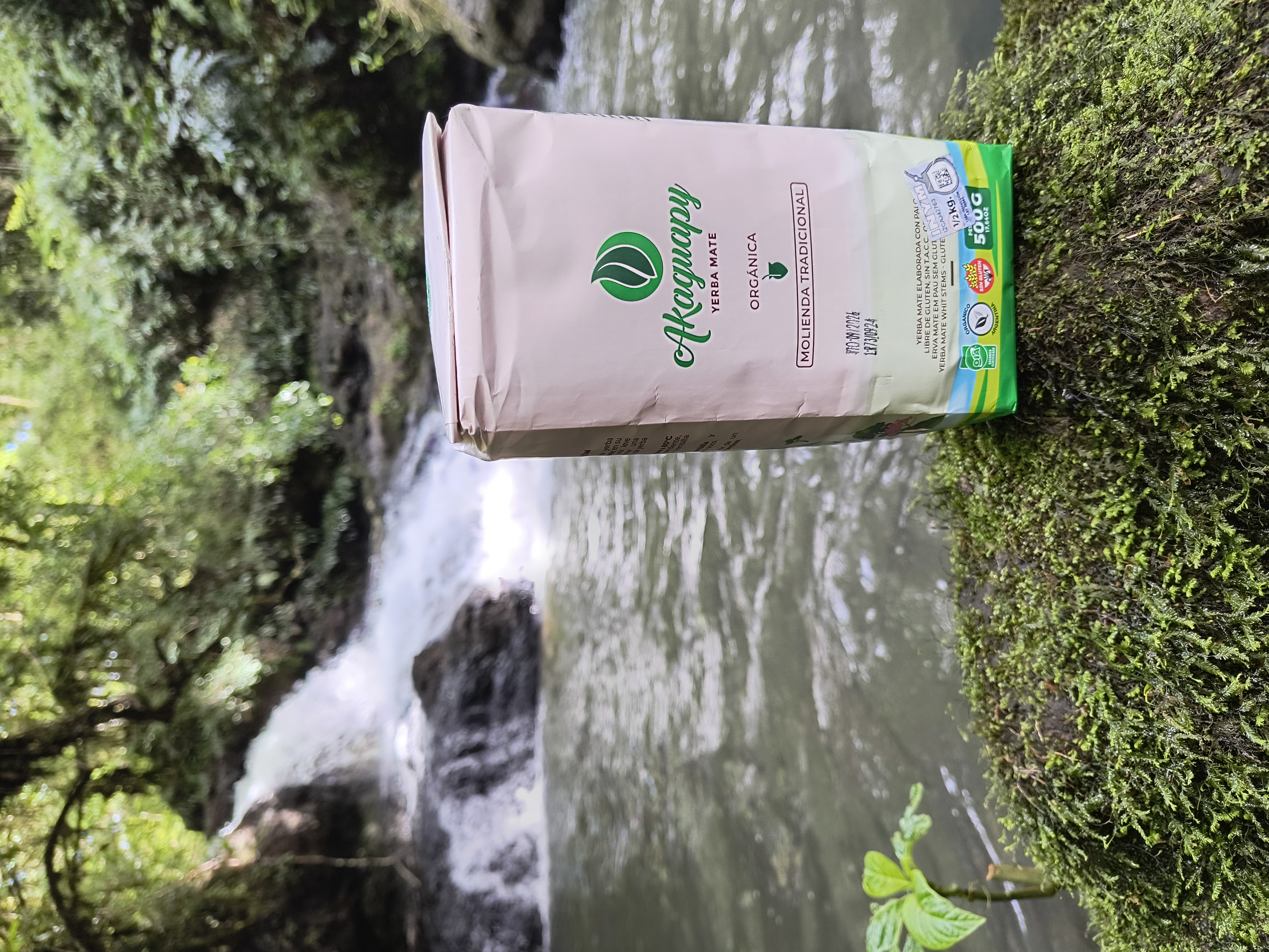 Cosecha de yerba mate Akaguapy